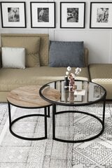 Kohvilaud Asir Bora, pruun price and information | Coffee tables | hansapost.ee