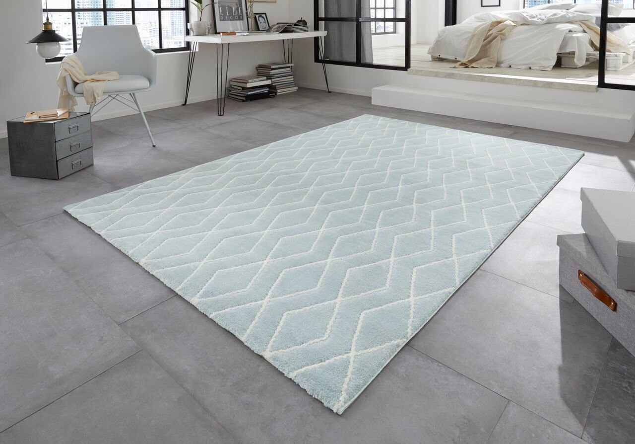 Vaip Elle Decoration Euphoria Rouen, 160x230 cm hind ja info | Vaibad | hansapost.ee