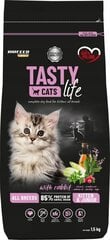 Biofeed kuivtoit kassile Tasty Cats Life Kitten Junior Rabbit, 1,5kg price and information | Dry cat food and cat crackers | hansapost.ee