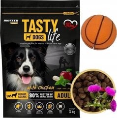 Сухой корм Biofeed Tasty Dogs Life для средних и крупных собак с курицей, 3 кг цена и информация | Сухой корм для собак | hansapost.ee