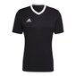 Meeste spordi t-särk Adidas Entrada 22 M HE1573, must цена и информация | Spordiriided meestele | hansapost.ee