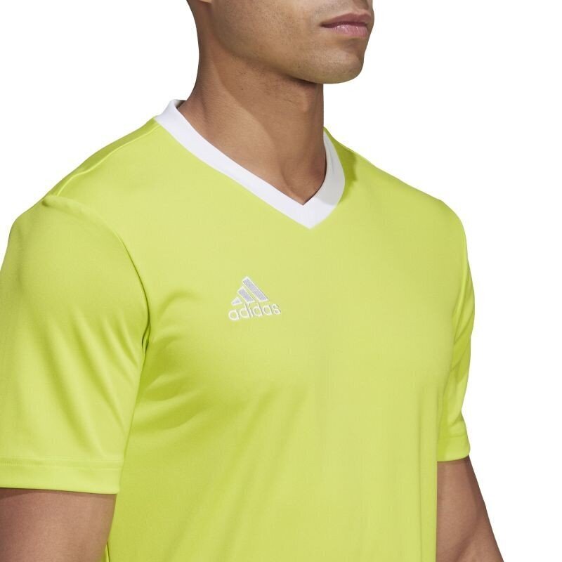 Adidas Entrada meeste spordi T-särk 22 M HC5077, kollane цена и информация | Spordiriided meestele | hansapost.ee