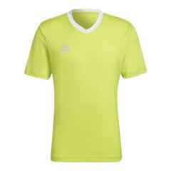 Adidas Entrada meeste spordi T-särk 22 M HC5077, kollane hind ja info | Spordiriided meestele | hansapost.ee