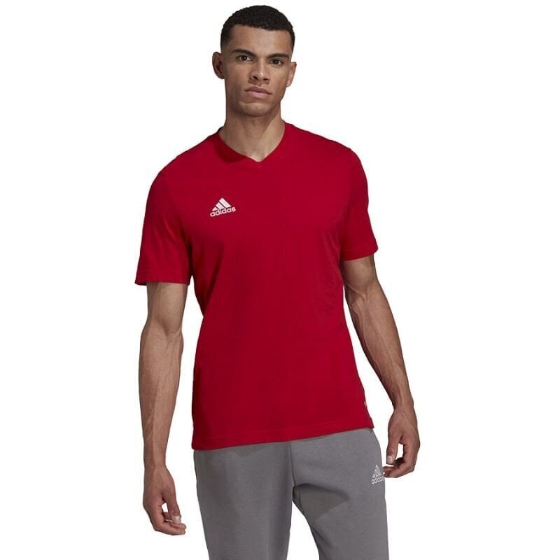 Meeste spordi t-särk Adidas Entrada 22 Tee M HC045, punane hind ja info | Spordiriided meestele | hansapost.ee