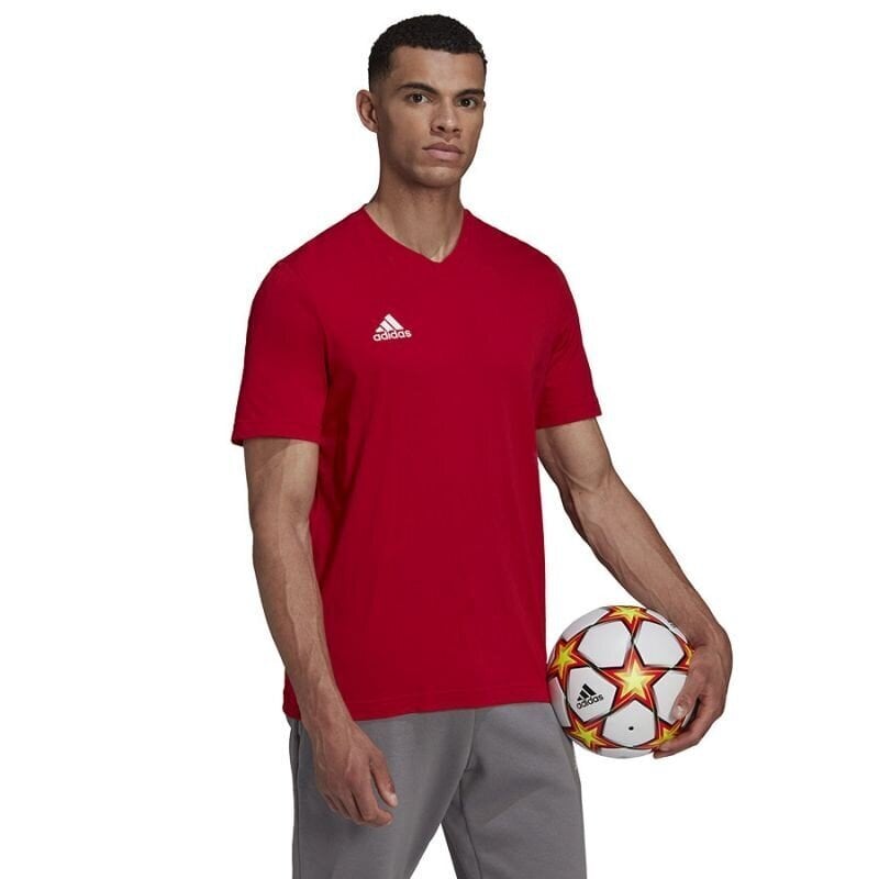 Meeste spordi t-särk Adidas Entrada 22 Tee M HC045, punane hind ja info | Spordiriided meestele | hansapost.ee