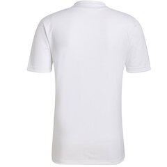 Meeste T-särk Adidas Entrada 22 Graphic Jersey M HF0131, valge hind ja info | Spordiriided meestele | hansapost.ee