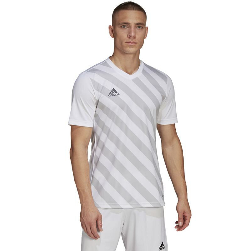 Meeste T-särk Adidas Entrada 22 Graphic Jersey M HF0131, valge hind ja info | Spordiriided meestele | hansapost.ee