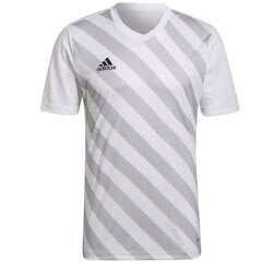 Meeste T-särk Adidas Entrada 22 Graphic Jersey M HF0131, valge hind ja info | Spordiriided meestele | hansapost.ee