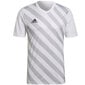 Meeste T-särk Adidas Entrada 22 Graphic Jersey M HF0131, valge hind ja info | Spordiriided meestele | hansapost.ee