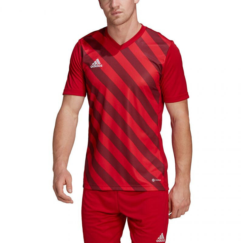 Meeste T-särk Adidas Entrada 22 Graphic Jersey, punane hind ja info | Spordiriided meestele | hansapost.ee