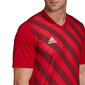 Meeste T-särk Adidas Entrada 22 Graphic Jersey, punane hind ja info | Spordiriided meestele | hansapost.ee