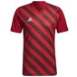 Meeste T-särk Adidas Entrada 22 Graphic Jersey, punane hind ja info | Spordiriided meestele | hansapost.ee