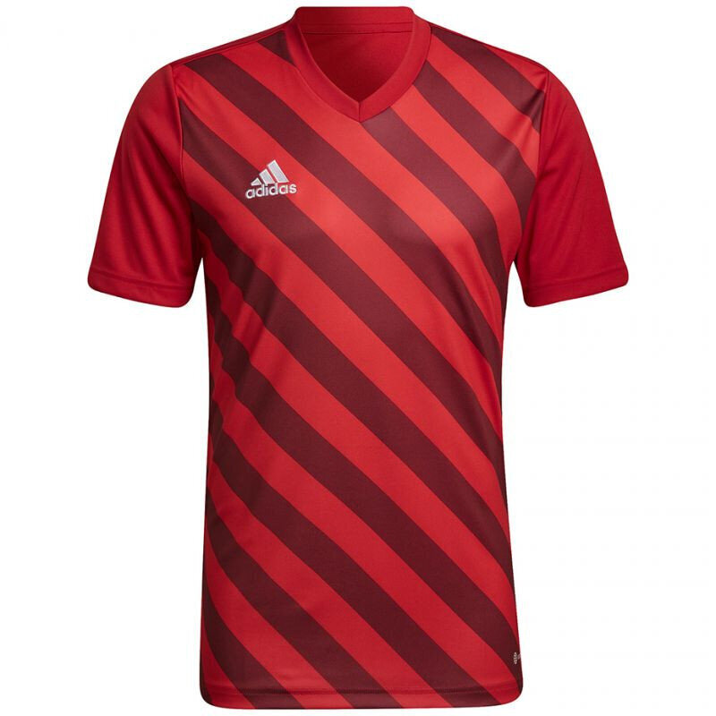 Meeste T-särk Adidas Entrada 22 Graphic Jersey, punane hind ja info | Spordiriided meestele | hansapost.ee