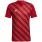 Meeste T-särk Adidas Entrada 22 Graphic Jersey, punane hind ja info | Spordiriided meestele | hansapost.ee