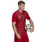 Meeste T-särk Adidas Entrada 22 Graphic Jersey, punane hind ja info | Spordiriided meestele | hansapost.ee