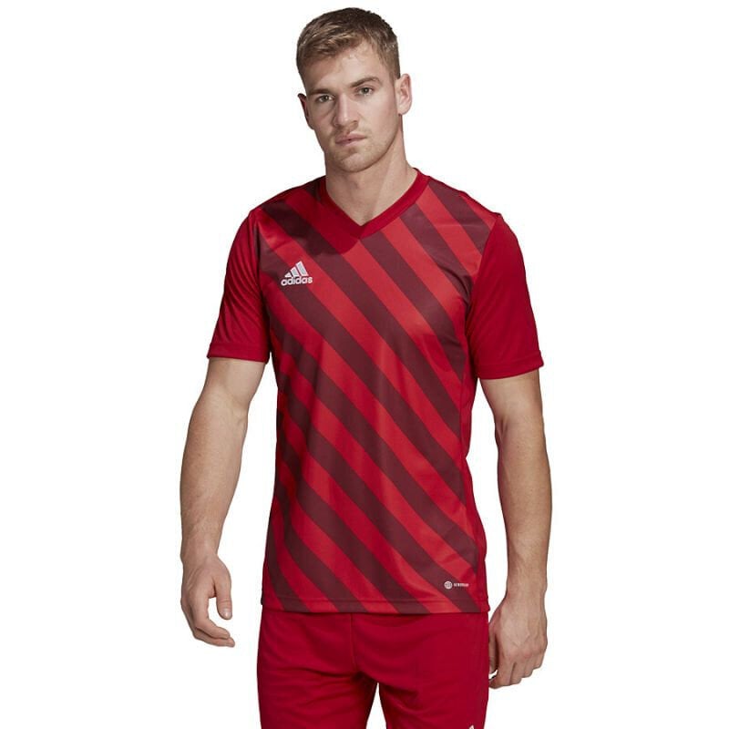 Meeste T-särk Adidas Entrada 22 Graphic Jersey, punane hind ja info | Spordiriided meestele | hansapost.ee