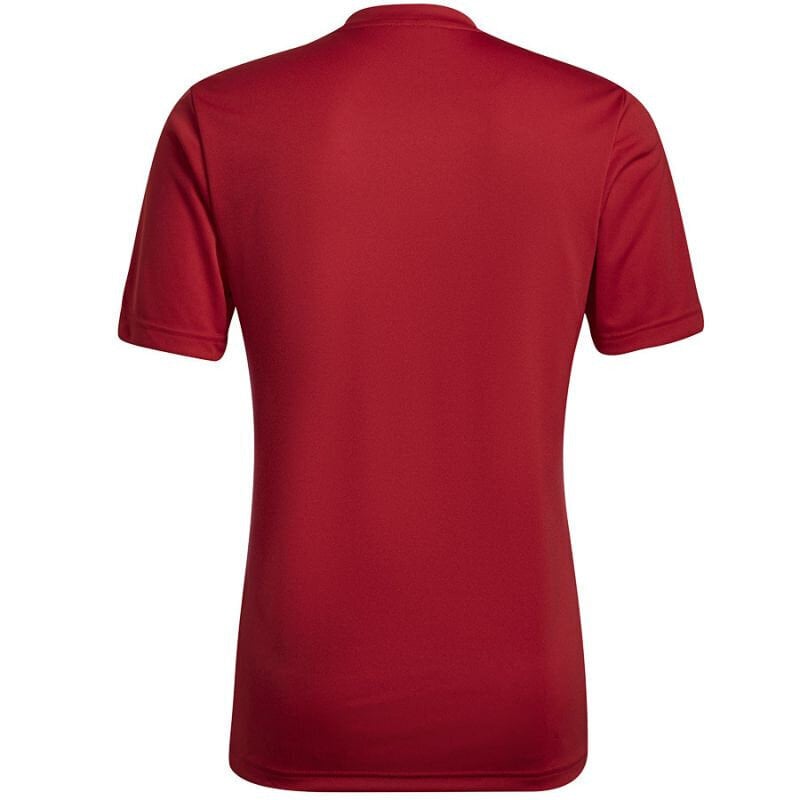 Meeste T-särk Adidas Entrada 22 Graphic Jersey, punane hind ja info | Spordiriided meestele | hansapost.ee