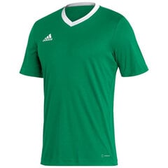 Meeste T-särk Adidas Entrada 22 Jersey, roheline hind ja info | Spordiriided meestele | hansapost.ee