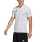 Meeste T-särk Adidas Entrada 22 Jersey, valge hind ja info | Spordiriided meestele | hansapost.ee