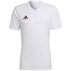 Meeste T-särk Adidas Entrada 22 Jersey, valge hind ja info | Spordiriided meestele | hansapost.ee