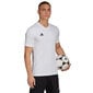 Meeste T-särk Adidas Entrada 22 Jersey, valge hind ja info | Spordiriided meestele | hansapost.ee