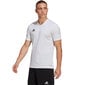 Meeste T-särk Adidas Entrada 22 Jersey, valge hind ja info | Spordiriided meestele | hansapost.ee