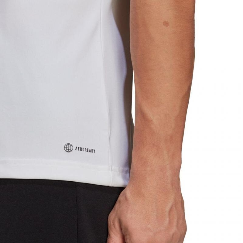 Meeste T-särk Adidas Entrada 22 Jersey, valge hind ja info | Spordiriided meestele | hansapost.ee