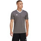 Meeste T-särk Adidas Entrada 22 Jersey, hall hind ja info | Spordiriided meestele | hansapost.ee