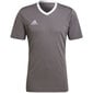 Meeste T-särk Adidas Entrada 22 Jersey, hall hind ja info | Spordiriided meestele | hansapost.ee