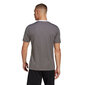 Meeste T-särk Adidas Entrada 22 Jersey, hall hind ja info | Spordiriided meestele | hansapost.ee