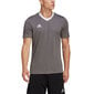 Meeste T-särk Adidas Entrada 22 Jersey, hall hind ja info | Spordiriided meestele | hansapost.ee