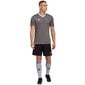 Meeste T-särk Adidas Entrada 22 Jersey, hall hind ja info | Spordiriided meestele | hansapost.ee