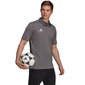 Meeste spordisärk Adidas Entrada 22 Polo, hall hind ja info | Spordiriided meestele | hansapost.ee