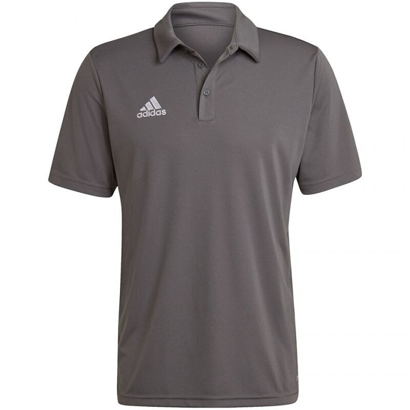 Meeste spordisärk Adidas Entrada 22 Polo, hall hind ja info | Spordiriided meestele | hansapost.ee