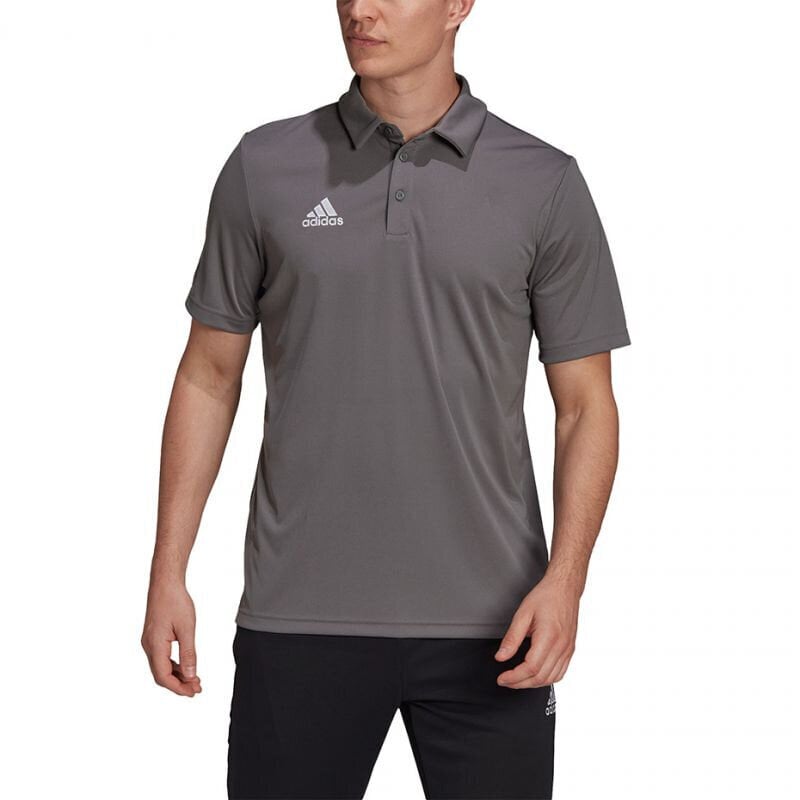 Meeste spordisärk Adidas Entrada 22 Polo, hall hind ja info | Spordiriided meestele | hansapost.ee