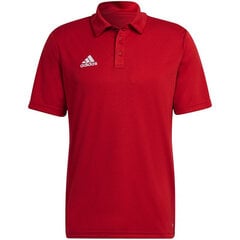 Meeste spordisärk Adidas Entrada 22 Polo, punane hind ja info | Spordiriided meestele | hansapost.ee