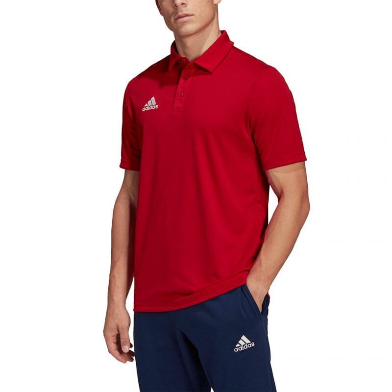 Meeste spordisärk Adidas Entrada 22 Polo, punane hind ja info | Spordiriided meestele | hansapost.ee