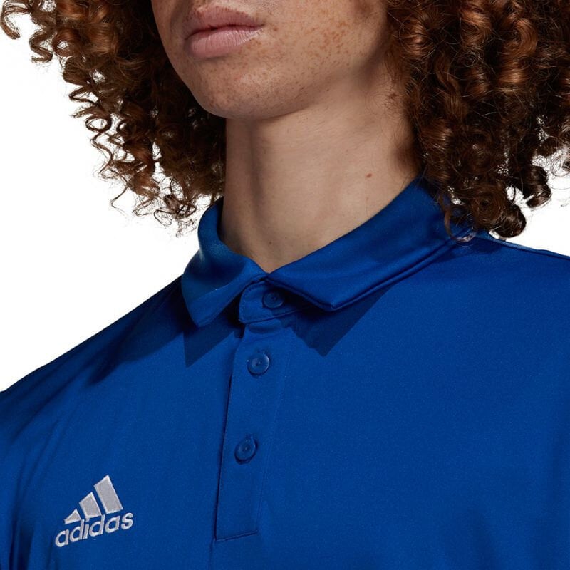 Meeste spordisärk Adidas Entrada 22 Polo, sinine hind ja info | Spordiriided meestele | hansapost.ee