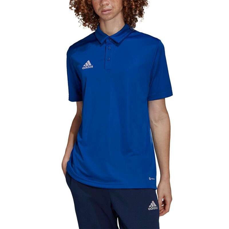 Meeste spordisärk Adidas Entrada 22 Polo, sinine hind ja info | Spordiriided meestele | hansapost.ee