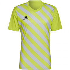 Meeste T-särk Adidas Entrada 22 Graphic Jersey M HF0118, kollane hind ja info | Spordiriided meestele | hansapost.ee