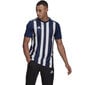 Meeste T-särk Adidas Striped 21 JSY M GN5847, sinine цена и информация | T-särgid meestele | hansapost.ee