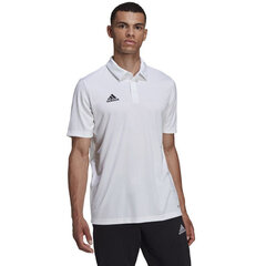 Мужская футболка Adidas Entrada 22 Polo HC5067, белый цена и информация | Мужские футболки | hansapost.ee