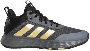 Adidas jalatsid Ownthegame 2.0 hall GW5483 hind ja info | Spordijalatsid ja vabaajajalatsid meestele | hansapost.ee