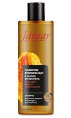 Šampoon Farmona Jantar, 300 ml hind ja info | Šampoonid | hansapost.ee