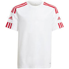 Мужская для мальчиков Adidas Squadra 21 Jersey Youth Jr GN5741 цена и информация | Рубашки для мальчиков | hansapost.ee