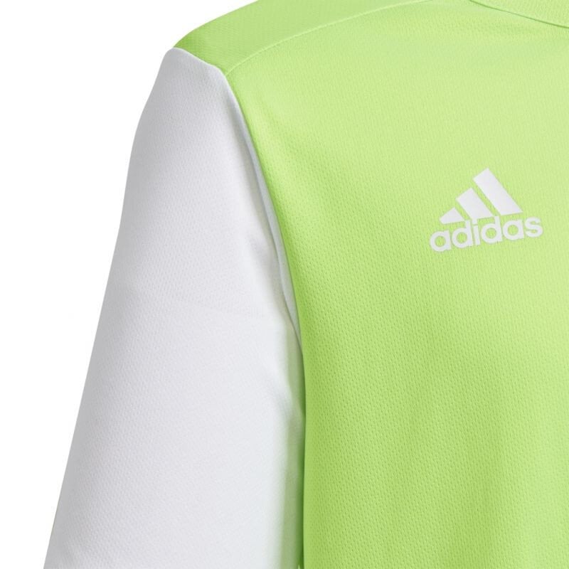 Laste T-särk Adidas Estro 19 Jr GH1663, roheline цена и информация | Särgid poistele | hansapost.ee