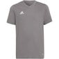 Laste T-särk Adidas Entrada 22 HC0444, hall цена и информация | Särgid poistele | hansapost.ee