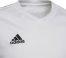 Adidas T-shirt adidas Entrada 22 Tee Jr HC0447 HC0447 цена и информация | Särgid poistele | hansapost.ee