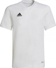 Adidas T-shirt adidas Entrada 22 Tee Jr HC0447 HC0447 цена и информация | Рубашки для мальчиков | hansapost.ee