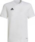 Adidas T-shirt adidas Entrada 22 Tee Jr HC0447 HC0447 цена и информация | Särgid poistele | hansapost.ee